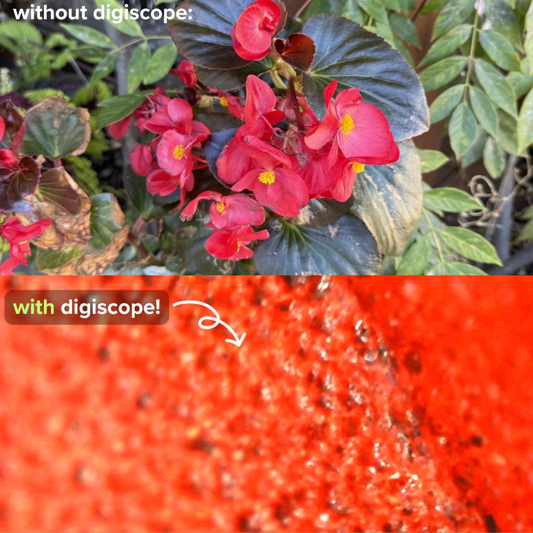 Vogue Waves - digitale microscoop 